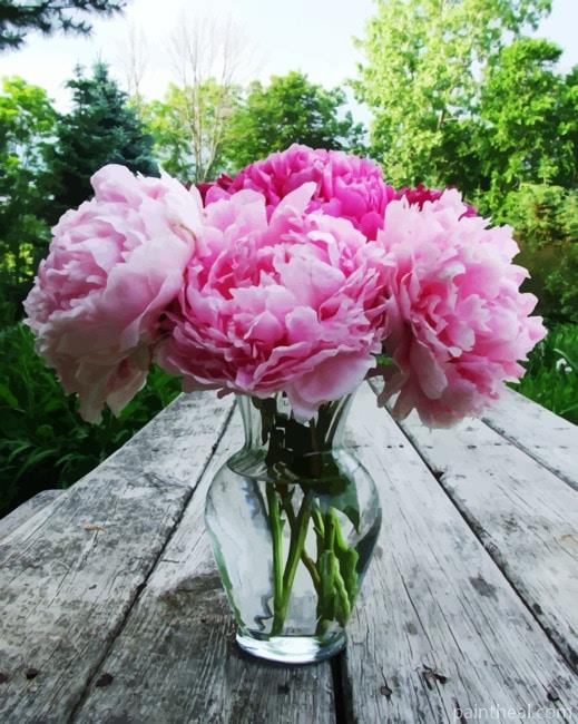 Peonies In Glass Painting By Numbers Kits