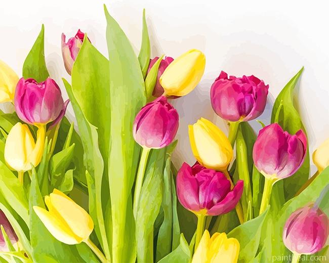 Pink Yellow Flowers NEW Painting By Numbers Kits