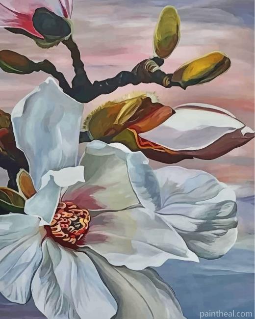 White Flower Painting By Numbers Kits