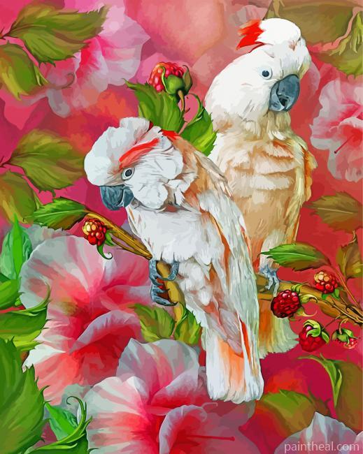 Salmon Crested Cockatoo Birds Painting By Numbers Kits