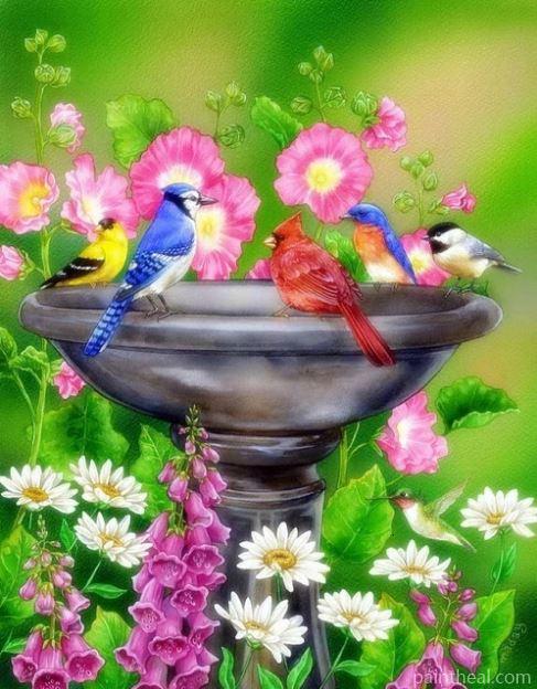 Spring Birds In Fountain Painting By Numbers Kits