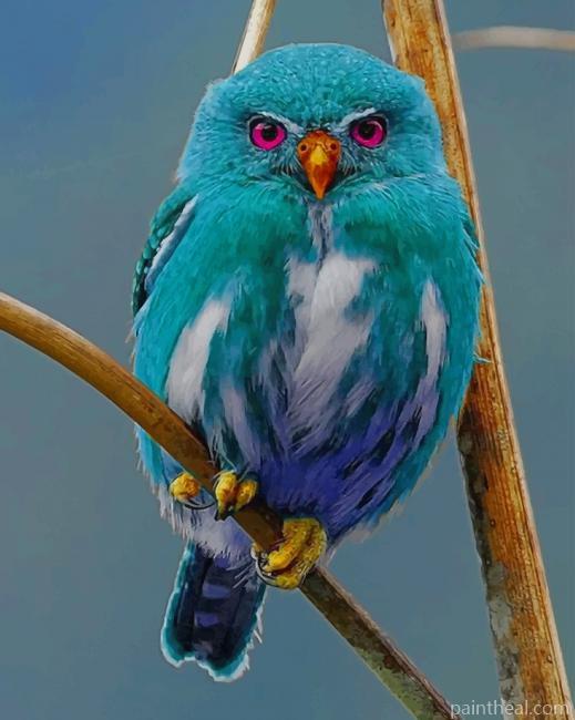 Philippines Blue Owl Painting By Numbers Kits