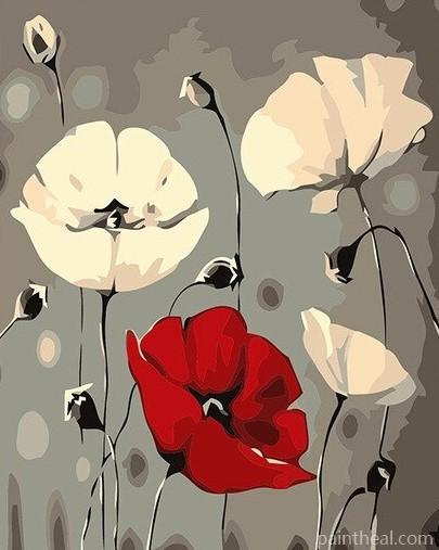Red White Poppy Flowers Painting By Numbers Kits