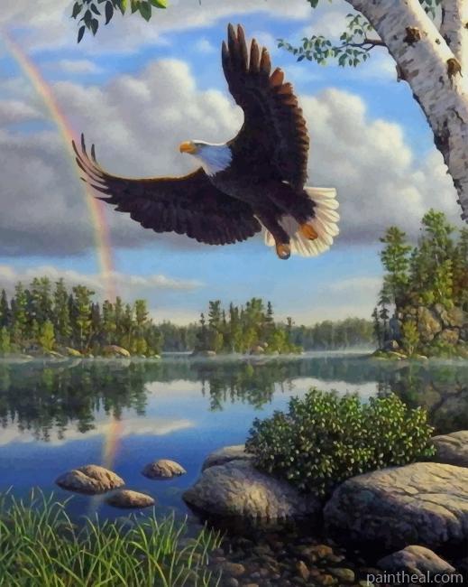 Flaying Bald Eagle Bird Painting By Numbers Kits