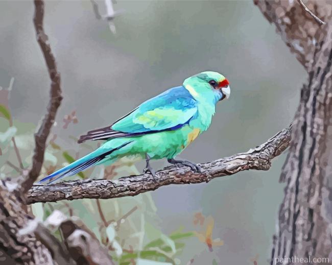 Ringneck Parrot Bird Painting By Numbers Kits