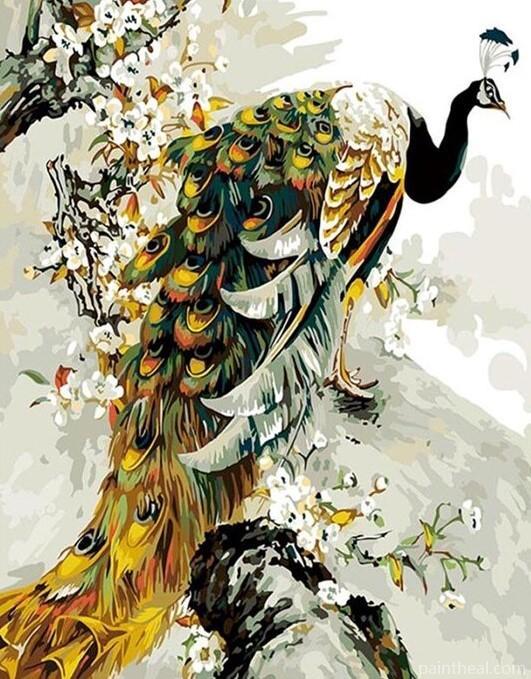 Peacock Bird Art Painting By Numbers Kits
