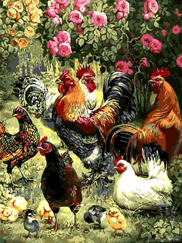 Cock Birds In Garden Painting By Numbers Kits
