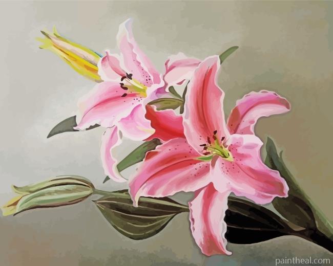 Pink Lilies Painting By Numbers Kits