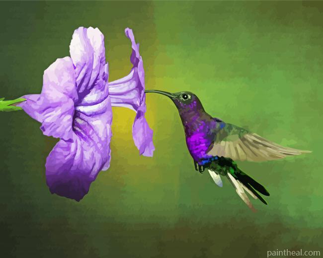 Flying Purple Hummingbird And Flower Painting By Numbers Kits