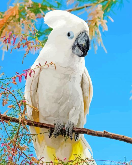 Umbrella Cockatoo On Stick Painting By Numbers Kits