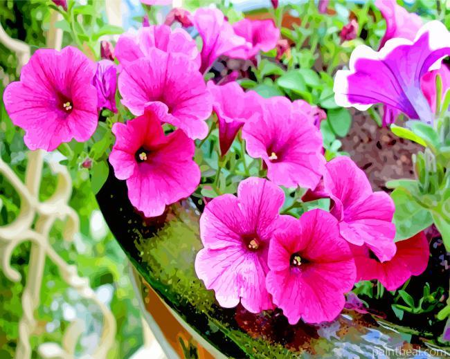 Blooming Pink Petunia Painting By Numbers Kits