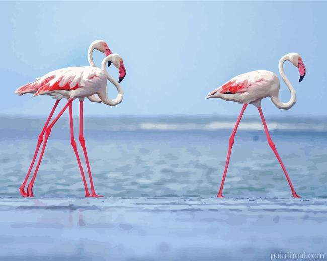 White Pink Flamingos Painting By Numbers Kits