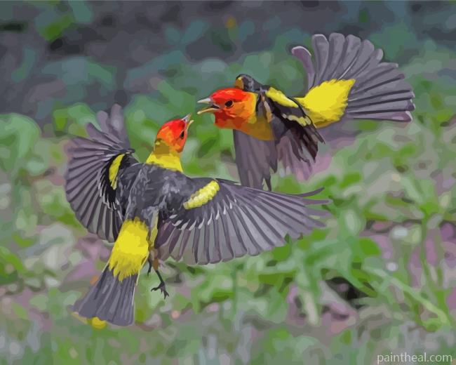 Western Tanager Birds Painting By Numbers Kits