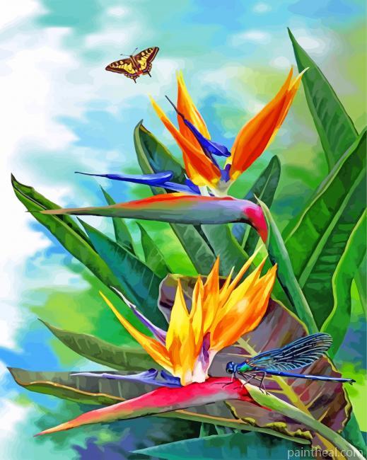 Bird Of Paradise And Butterfly Painting By Numbers Kits