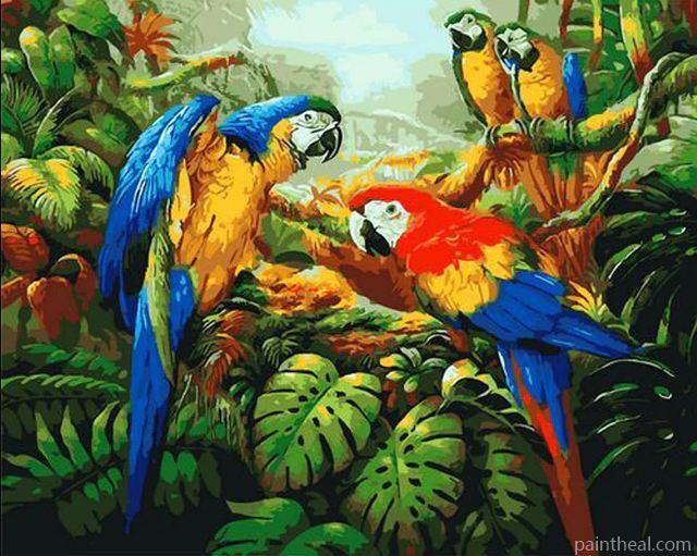 Colorful Macaws Parrots Painting By Numbers Kits