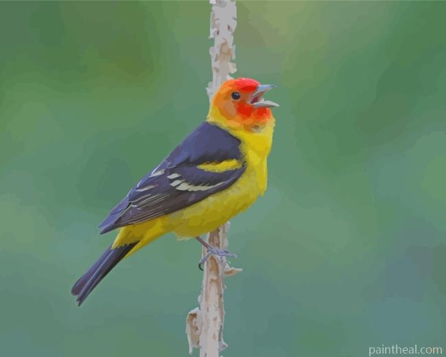 Western Tanager On Stick Painting By Numbers Kits