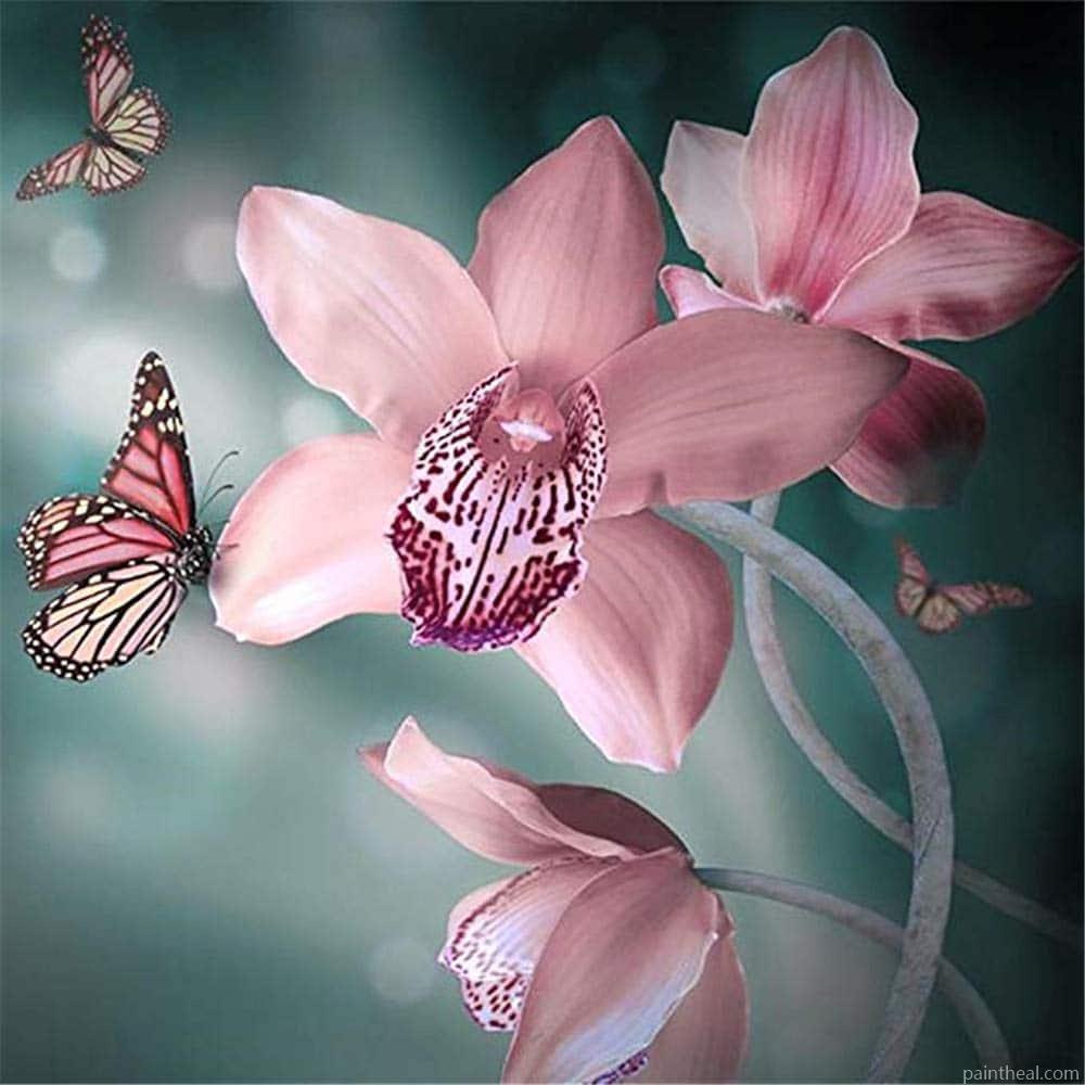Pink Orchid Flowers Painting By Numbers Kits
