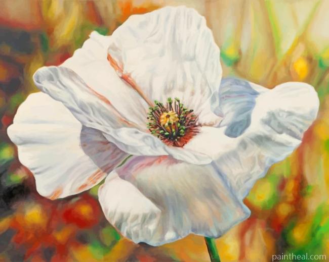 White Poppy Anemone Painting By Numbers Kits