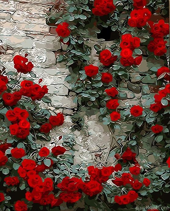 Rose Flowers Flowers Painting By Numbers Kits