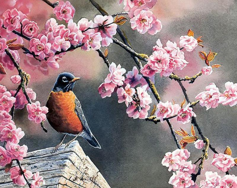 Bird On Cherry Blossom Tree Painting By Numbers Kits