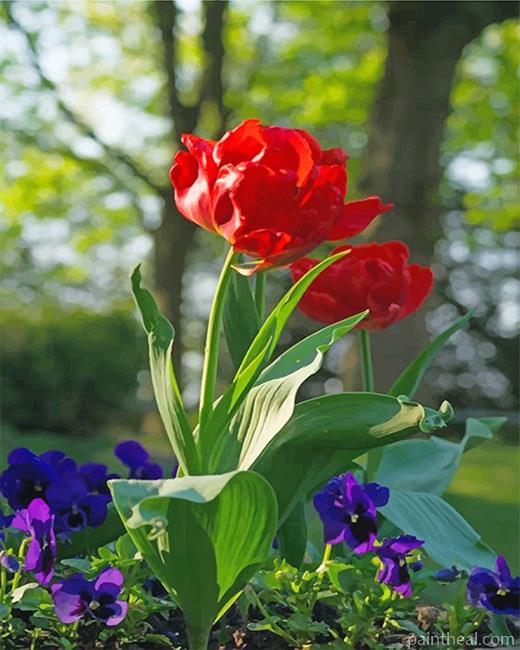 Red Peonies NEW Painting By Numbers Kits