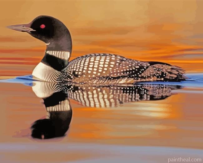 Common Loon Painting By Numbers Kits