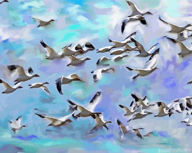 Flock Of Birds Painting By Numbers Kits