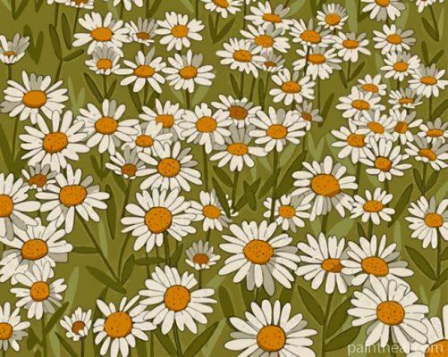 Daisy Field Illustration Painting By Numbers Kits
