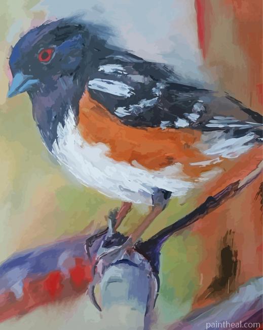 Abstract Towhee Painting By Numbers Kits