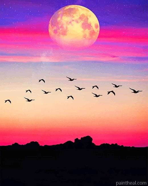 Flying Birds Silhouette Painting By Numbers Kits