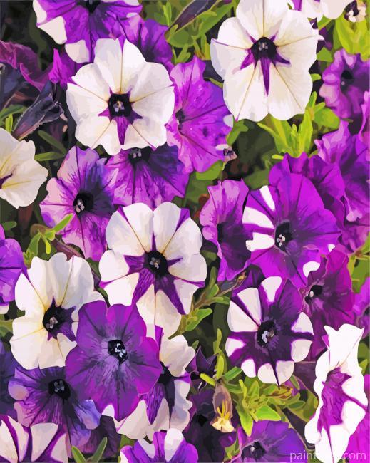 White And Purple Petunia Painting By Numbers Kits