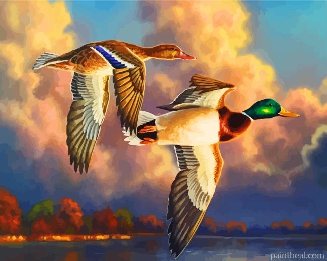 Waterfowl Birds Painting By Numbers Kits