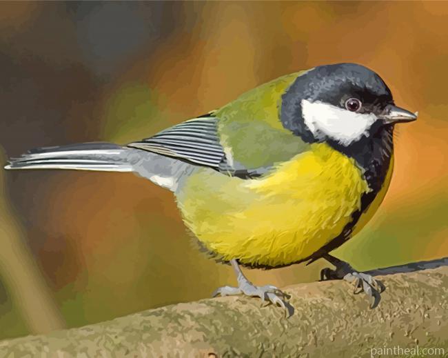 Parus Male Bird Painting By Numbers Kits