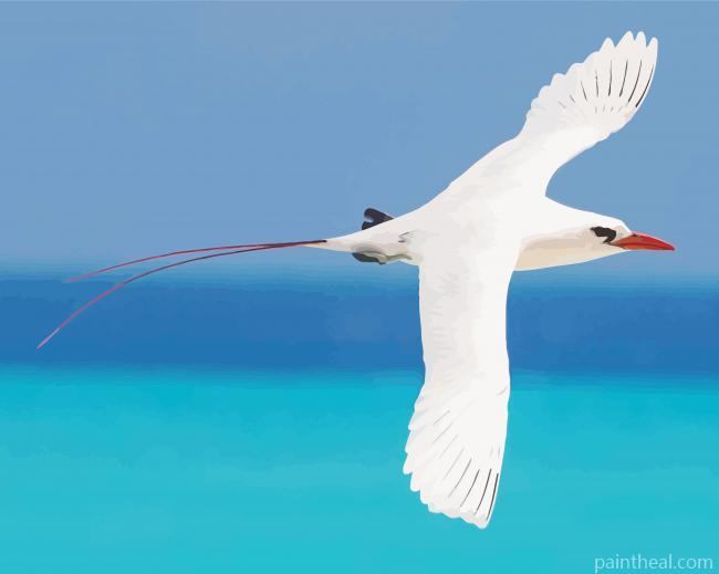 Aesthetic Tropic Sea Bird Painting By Numbers Kits