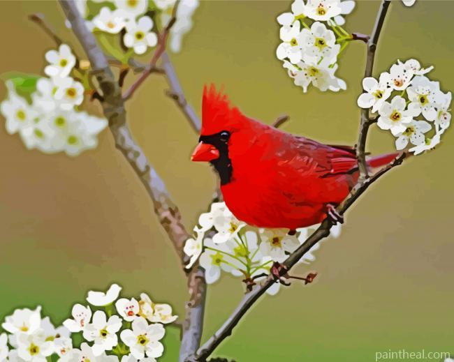 Cardinal And White Flowers Painting By Numbers Kits