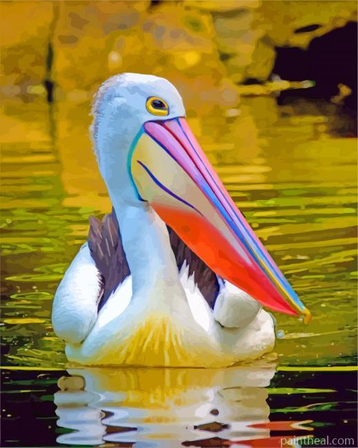 Pelican In The Water Painting By Numbers Kits