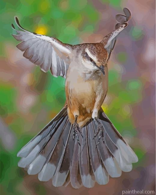 Flying Northern Mockingbird Painting By Numbers Kits