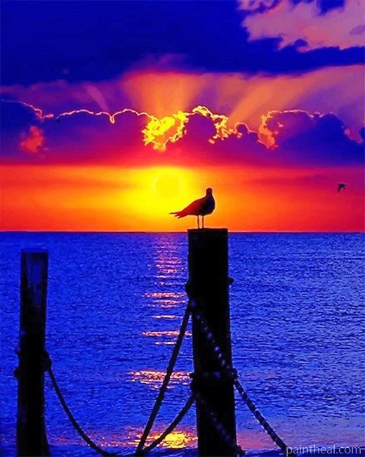 Sunset Pigeon Silhouette Painting By Numbers Kits
