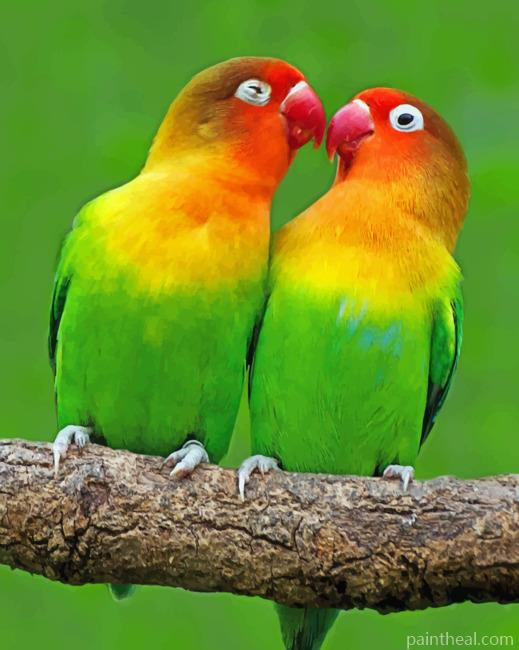 LoveBirds Painting By Numbers Kits