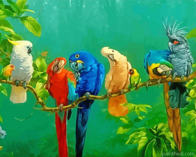 Rainbow Birds On Tree Branch Painting By Numbers Kits