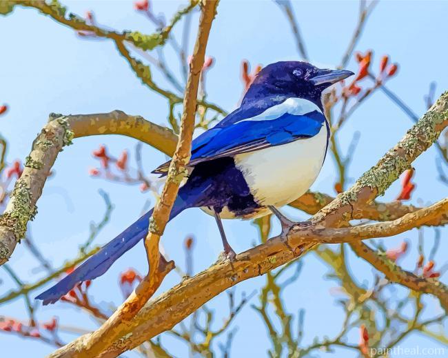 The Magpie Bird Painting By Numbers Kits