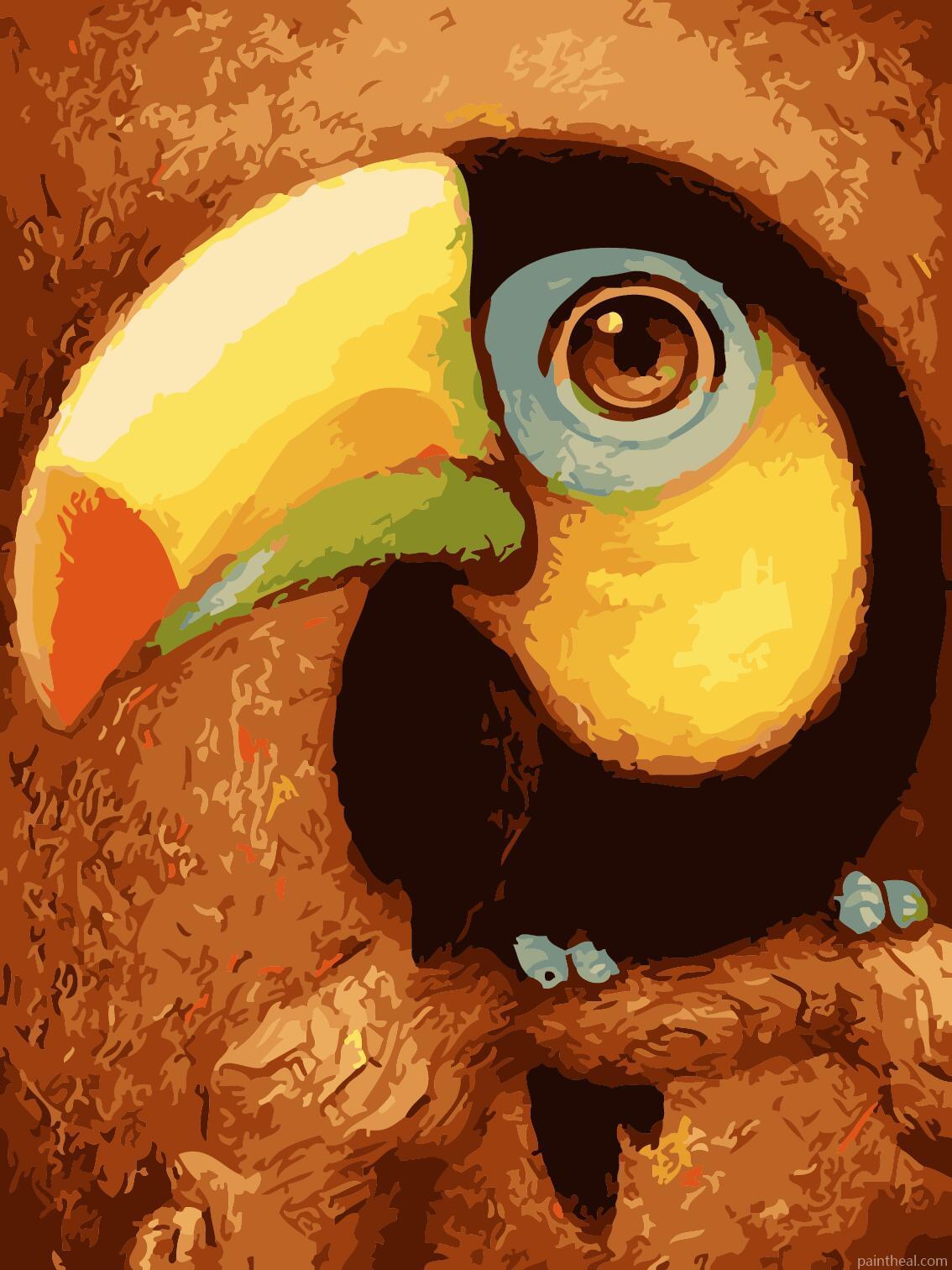 Cartoon Toucan Bird Painting By Numbers Kits