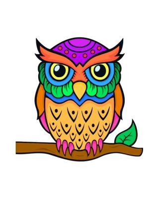 Colorful Owl Bird Painting By Numbers Kits