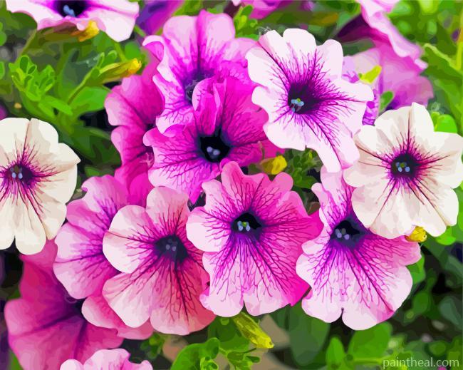 Blooming Purple Petunia Painting By Numbers Kits