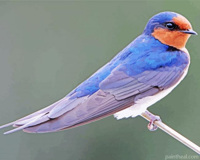Common House Martin Swallow Painting By Numbers Kits
