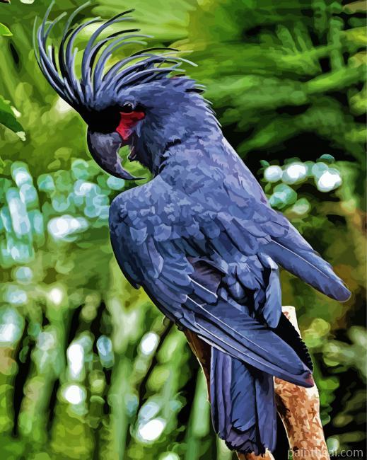 Black Cockatoo Bird Painting By Numbers Kits