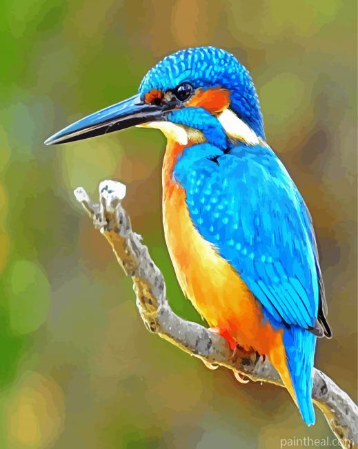 Bird Kingfisher Painting By Numbers Kits