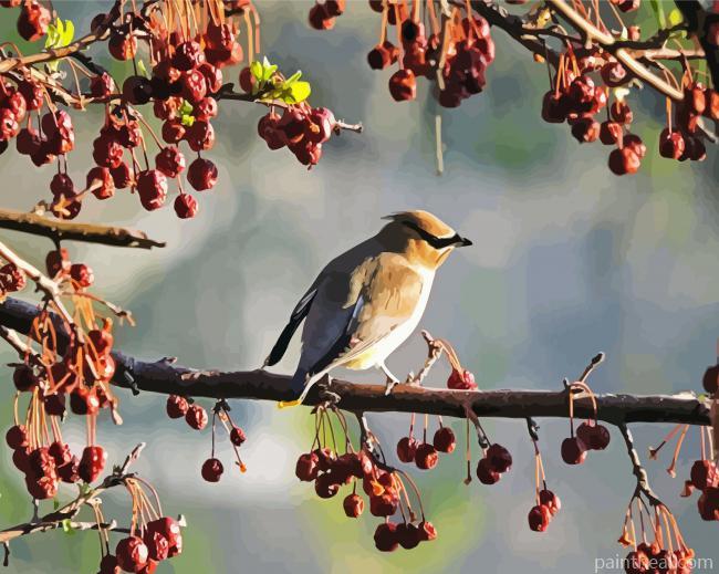 Cedar Tree With Bird Painting By Numbers Kits