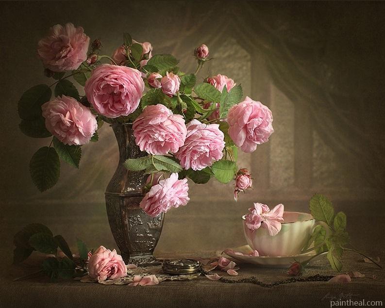 Camellia Flower DIY Painting By Numbers Kits
