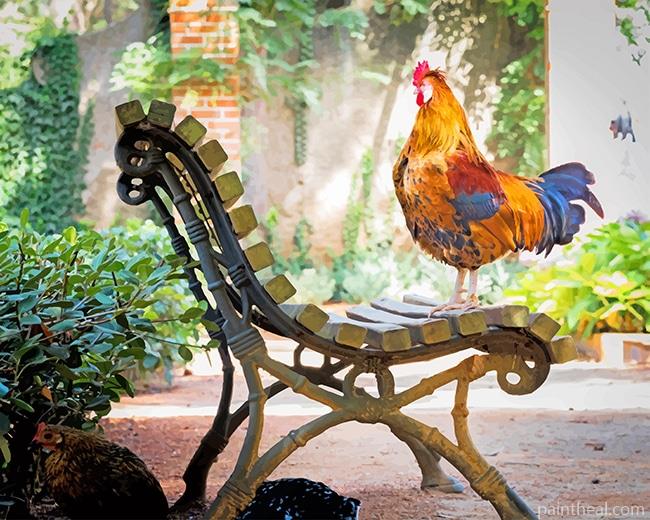 Rooster On Bench Painting By Numbers Kits